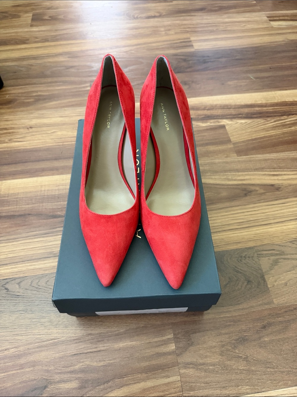 Ann Taylor Mika Suede Pumps